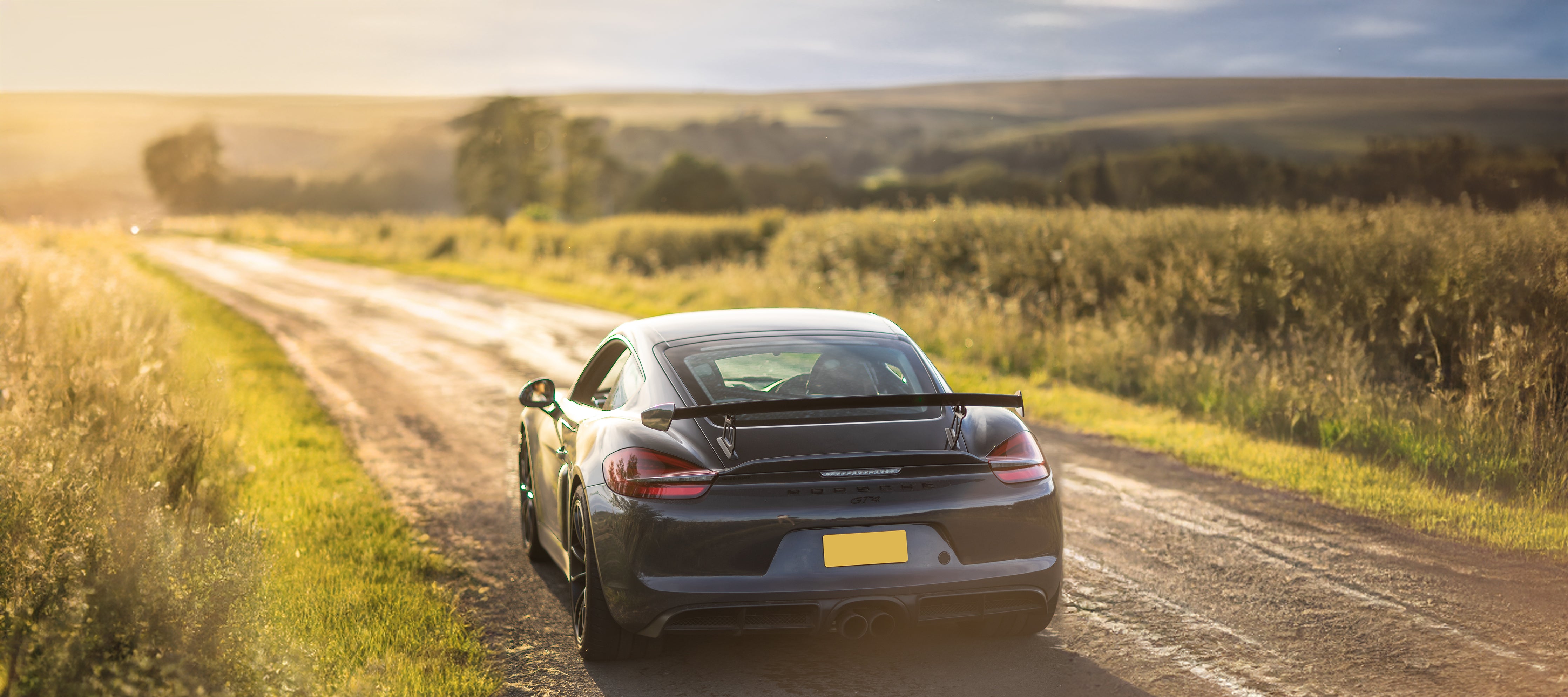 981 GT4 / SPYDER EXTERIOR